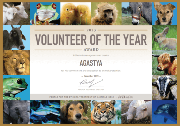 Bengaluru Local Is PETA India’s 2023 Volunteer of the Year