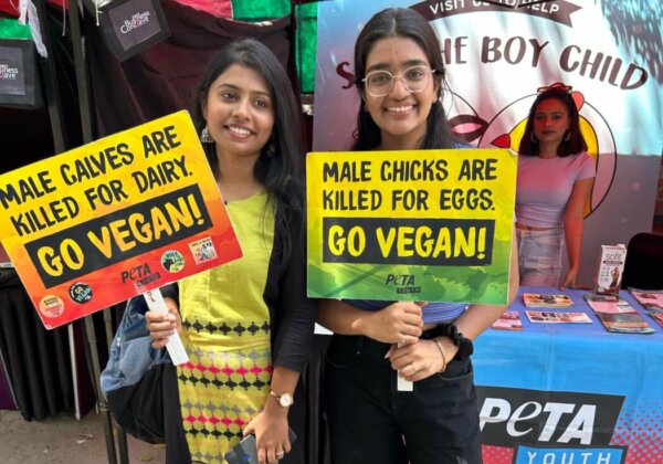 Catalysts of Change: PETA Youth’s Empowering Activities of 2023