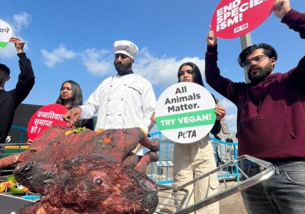‘Charred Dog’ Is ‘Barbecued’ Ahead of International Animal Rights Day