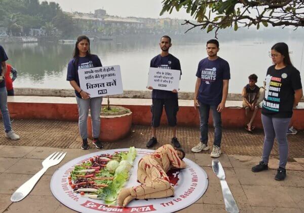 PETA इंडिया और वीगनस ऑफ छत्तीसगढ़ द्वारा ‘खून से लथपथ’ महिला को थाली में परोसकर लोगों को वीगन बनने हेतु प्रेरित किया