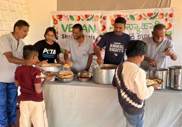 गणतंत्र दिवस से पहले, हॉलीवुड अभिनेत्री ‘एलिसिया सिल्वरस्टोन’ ने स्कूली बच्चों को वीगन भोजन और गाय का प्यार प्रदान किया