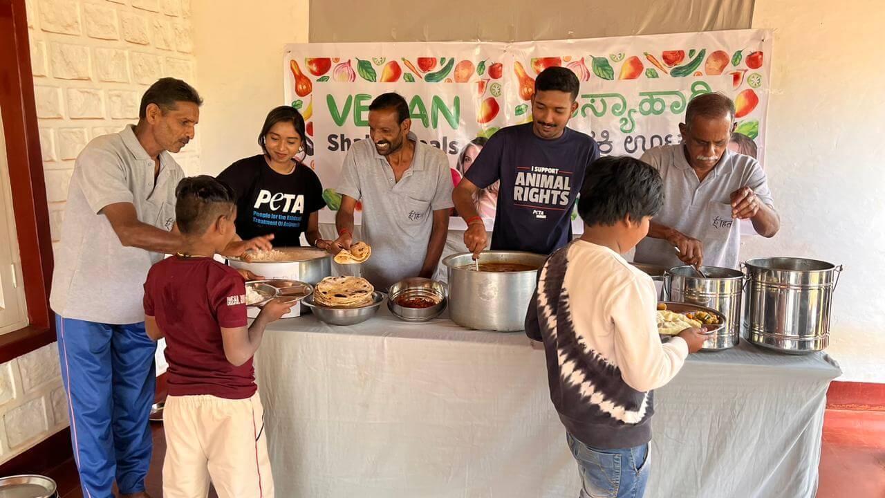 WhatsApp Image 2024 01 23 at 2.57.29 PM Ahead of Republic Day, Hollywood Star Alicia Silverstone Provides Schoolchildren With Vegan Meals as They Meet Rescued Cows - Blog