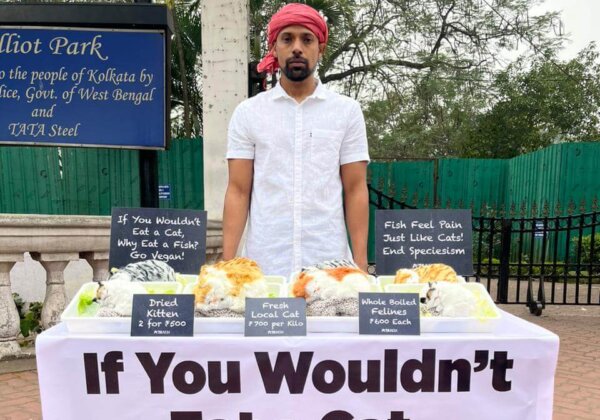 ‘Catmonger’ Serves Up ‘Kitten Meat’ Ahead of World Week for the Abolition of Meat