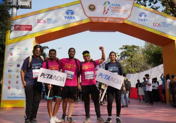 Lacing Up for Animals: PETA India and FirstRand Run the Tata Mumbai Marathon!