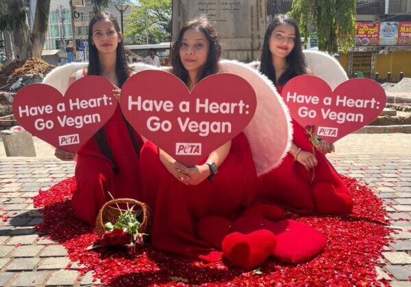 PETA इंडिया के वैलेंटाइन ‘एन्जिल्स’ करुणा के संदेश के साथ बेंगलुरु पहुंचे