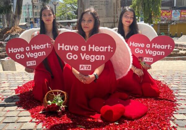 Valentine ‘Angels’ From PETA India Descend on Bengaluru With Message of Compassion