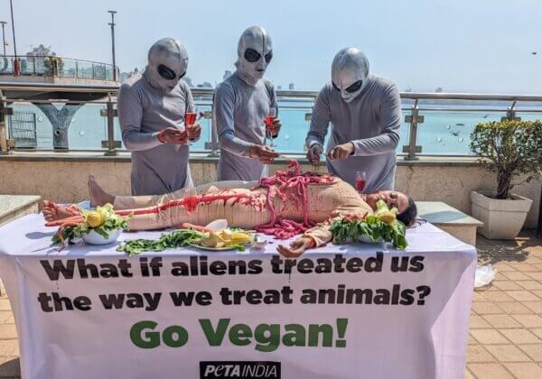 ‘Aliens’ Feast on ‘Human Flesh’ in PETA India Pro-Vegan Display