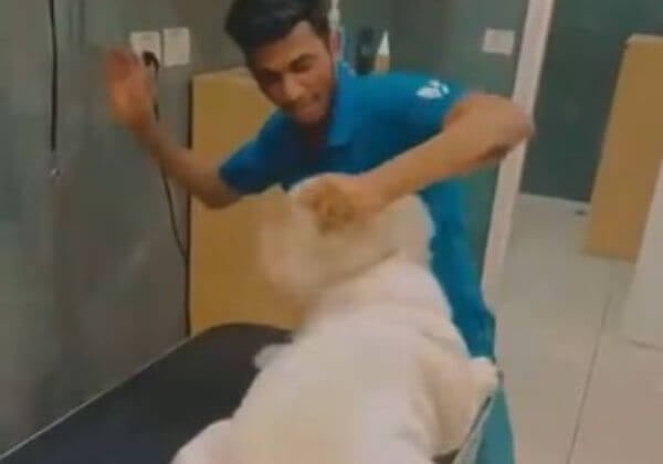 FIR Registered Against Staff and Management at Vetic Pet Clinic for Dastardly Assault on Companion Dog, Following PETA India Complaint