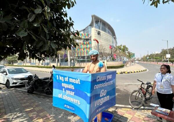 हमारे ग्रह पर मांस के विनाशकारी प्रभाव को दिखाने के लिए एक व्यक्ति ने सार्वजनिक स्नान किया