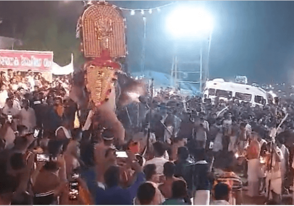 Thrissur Elephant Attacks Prompt PETA India to Call For Use of Mechanical Elephants for Rituals and Ceremonies