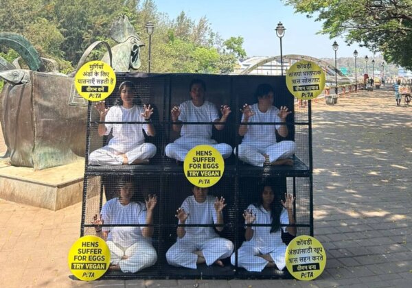 Women Caged Themselves in Solidarity With Hens for International Women’s Day