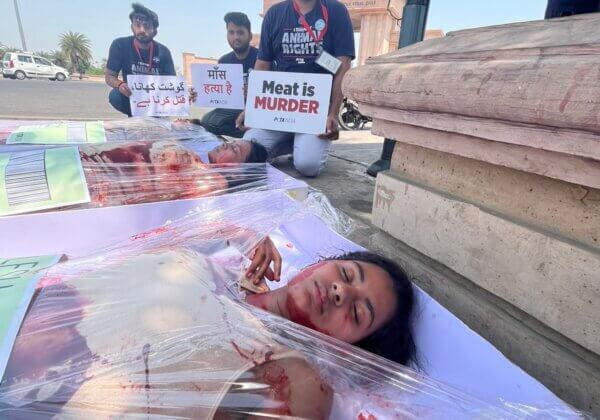 PETA इंडिया के समर्थक ने फ़्रोजन मीट बनकर लखनऊ के लोगों से वीगन जीवनशैली अपनाने का आग्रह किया