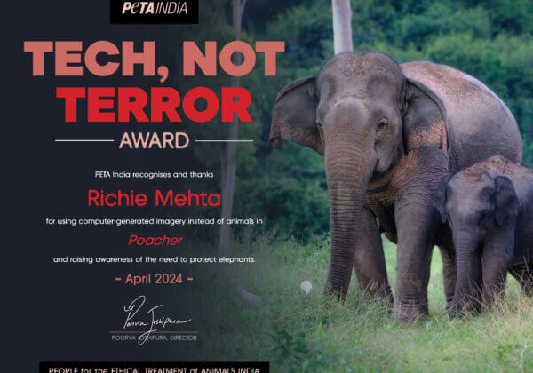 PETA इंडिया द्वारा ‘हाथी बचाओ दिवस’ के अवसर पर ‘पोचर’ सिरीज के निर्देशक को असल पशुओं की जगह CGI तकनीक इस्तेमाल करने के लिए सम्मानित किया गया