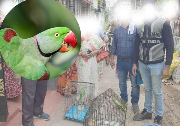 PETA इंडिया के हस्तक्षेप के बाद, पश्चिम बंगाल वन विभाग ने तोतों को अवैध रूप से बंधी बनाने के लिए एक अपराधी के खिलाफ़ मामला दर्ज़ किया
