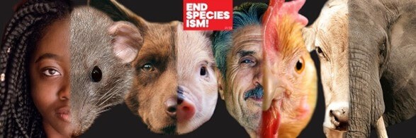 Every Animal Is Someone. Who Will You Choose to Be?