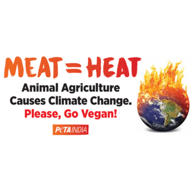 PETA इंडिया द्वारा तप्ति गर्मी में बिलबोर्ड लगवाकर जनता को मांस और गर्मी के बीच संबंध से अवगत कराया गया और वीगन जीवनशैली अपनाने के लिए प्रेरित किया
