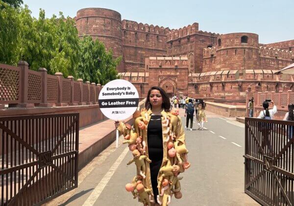 इस ‘मातृ दिवस’ के अवसर पर एक महिला ‘बच्चों’ के कटे अंगों से बना कोट पहनकर जनता को चमड़े का त्याग करने के लिए प्रोत्साहित किया