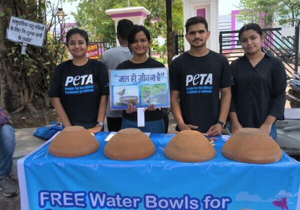 Supporters of PETA India and Vegans of Chhattisgarh Distribute Free Water Bowls for Community Animals in Raipur