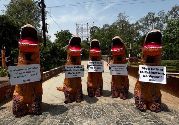 ‘Dinosaurs’ Urge Hyderabad Residents: ‘Go Vegan or Go Extinct!’ Ahead of International Dinosaur Day