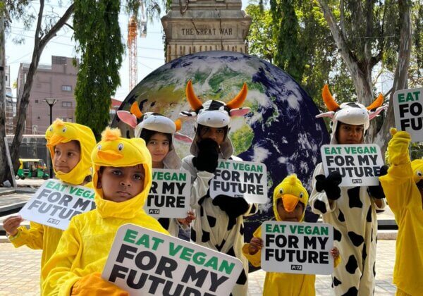 Ahead of World Environment Day, Children Dressed as Chicks and Calves Make Vegan Plea for the Planet