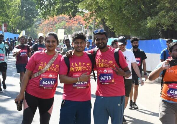 पशु हित में दौड़ लगाना: PETA इंडिया ने वर्ष 2024 में बेंगलुरु में TCS World 10K में भाग लिया