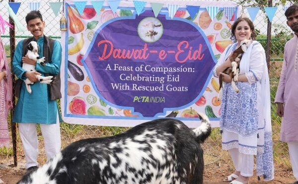 PETA इंडिया के वीगन मुस्लिम समर्थकों ने रेस्क्यू की गई बकरियों के साथ ईद-अल-अज़हा मनाया