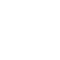 Stroke Icon