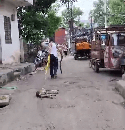 नंदुरबार पुलिस ने मदर डॉग को पीटने और घसीटकर मारने के आरोप में FIR दर्ज की
