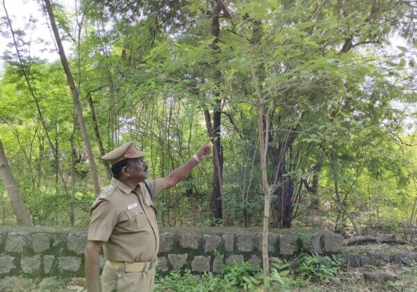 PETA इंडिया की शिकायत के आधार पर नमक्कल वन प्रभाग द्वारा दो तोतों को बचाया गया