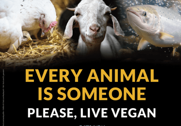 ‘हर पशु का अपना एक अस्तित्व है’: PETA इंडिया ने ‘प्रजातिवाद के अंत को समर्पित विश्व दिवस’ के अवसर पर जनता को वीगन जीवनशैली अपनाने हेतु प्रेरित किया