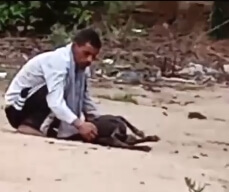 चंडीगढ़ के DGP से पंजाब इंजीनियरिंग कॉलेज के छात्रों की सुरक्षा को ध्यान में रखते हुए कुत्ते के साथ हुए यौन शोषण के खिलाफ़ कार्रवाई करने का आह्वान किया गया