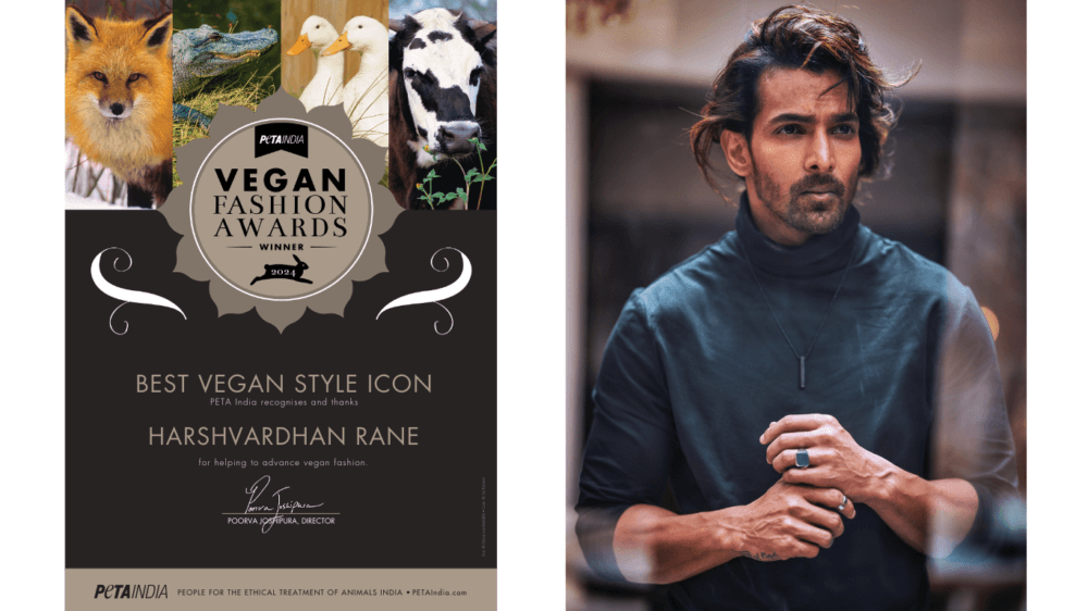 Harshvardhan Rane, Alia Bhatt’s Paris Fashion Week Ensemble, Kriti ...