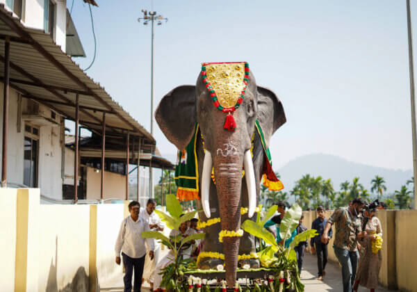 कर्नाटक के मंत्री चिक्कमगलुरु के श्री जगद्गुरु रेणुकाचार्य मंदिर में मैकेनिकल हाथी के लॉन्च में शामिल हुए, जिसे अभिनेत्री शिल्पा शेट्टी कुंद्रा, PETA इंडिया और CUPA ने मिलकर को भेंट स्वरूप दिया है।