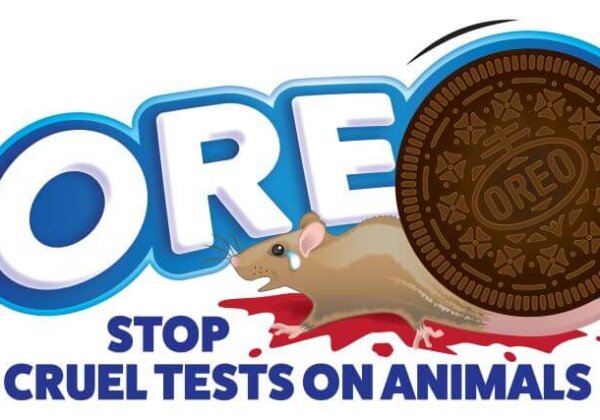 Animals Force-Fed Feces and Sliced Open—Urge Oreo Maker to End Cruel Experiments