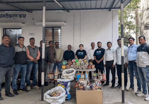 नागपुर सिटी पुलिस और PETA इंडिया ने छापेमारी करके शहर से प्रतिबंधित और खतरनाक मांझे की सैकड़ों चरखियाँ जब्त करी