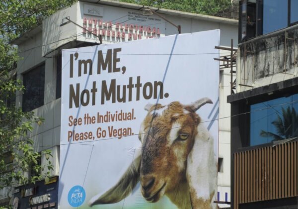 “I’m ME, Not Mutton!” Proclaims Goat on PETA India Billboard Amid ‘Malhar Certification’ Controversy