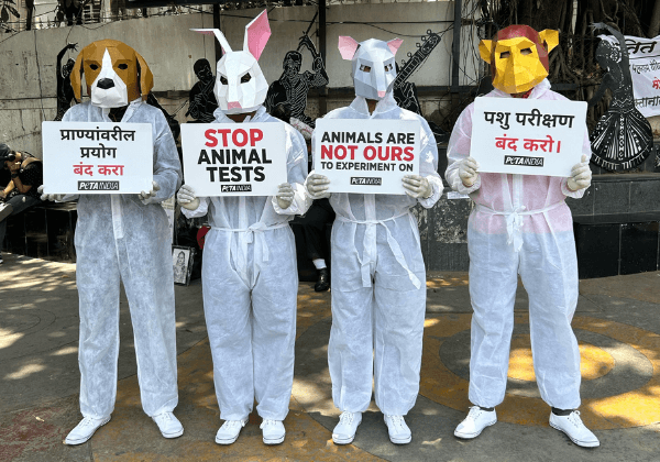 Pune: ‘Mouse,’ ‘Rabbit,’ ‘Monkey,’ and ‘Dog’ Plead to be Spared Cruel Animal Tests During World Week for Animals in Laboratories