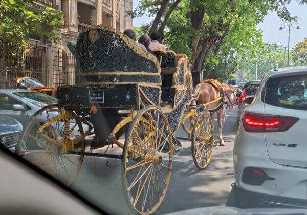 Colaba Police Register FIR Against Illegal Use of Horse Carriage Following PETA India Complaint.