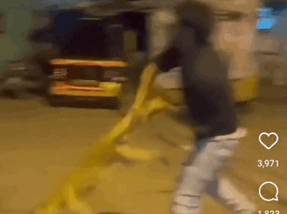 Nanded Police Registers FIR Against Man for Torturing A Dog in Viral Video Following Intervention by PETA India