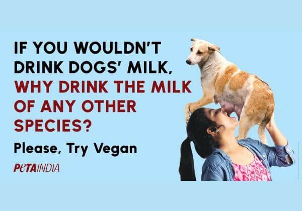 Advertising Standards Council of India Attempts to Block PETA India Campaign Questioning ‘If You Wouldn’t Drink Dogs’ Milk, Why Drink the Milk of Any Other Species?’