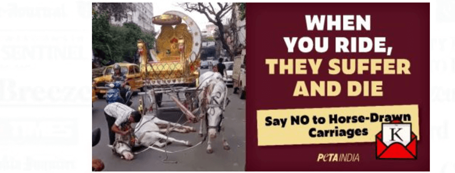 Viral Collapsed Horse Yet to be Seized by Kolkata Police Features on New PETA India Billboard Campaign