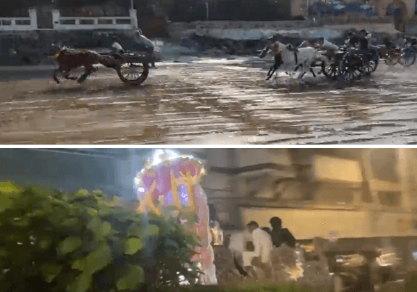 Three FIRs Registered by Mumbai Police in Crackdown Against Illegal Use of Horses Following Intervention by PETA India and Smt Maneka Gandhi