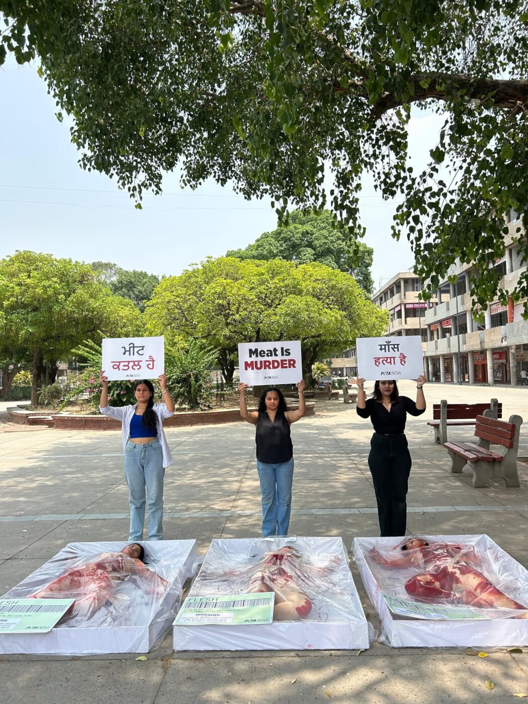 PETA India Supporters Mimic Frozen Meat to Urge People of Chandigarh to Go Vegan During World Meat Free Day