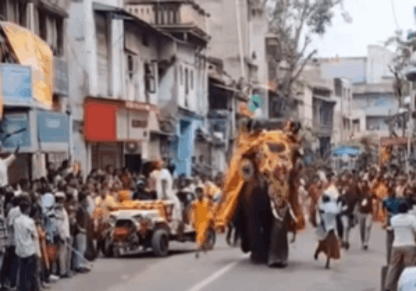 After Elephants Run Amok During Rath Yatra, PETA India Offers Gift of Life-Like Mechanical Elephant to Gujarat to Help Animals and for Public Safety