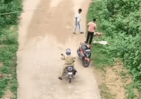 Central Government Body Animal Welfare Board of India Urges Action on 10 Dogs Allegedly Killed by Police Inspector in Chhattisgarh  