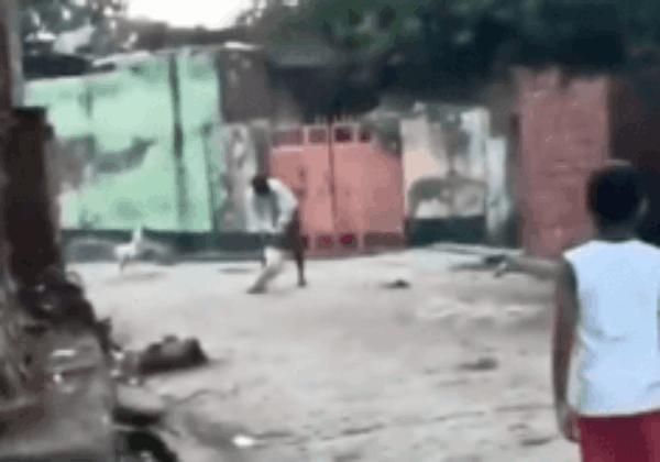 Meerut: FIR Registered After Man Slams Dog to Death, Following PETA India Intervention