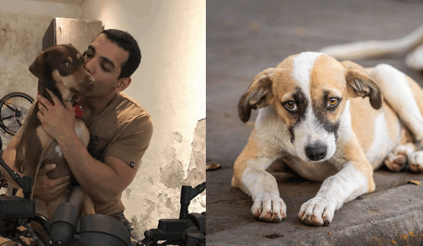 Join John Abraham and PETA India in Saving Delhi Dogs