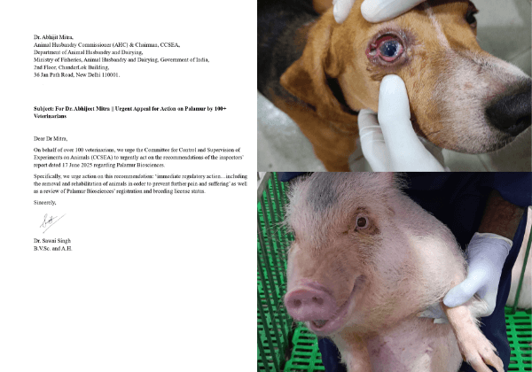 Over 100 Veterinarians Urge Central Government Agency to Rescue 1200+ Beagles & Other Animals From Telangana’s Palamur Biosciences & Other Actions