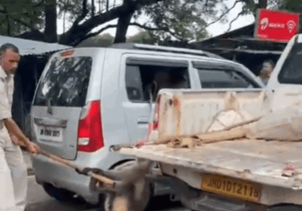 POR and FIR Registered After Hanuman Langur Violently Thrashed in a Viral Video in Bokaro, Following PETA India Complaint