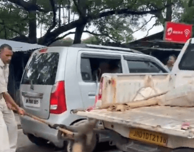 बोकारो: वायरल वीडियो में हनुमान लंगूर को बेरहमी से पीटे जाने के मामले में PETA इंडिया की शिकायत पर POR और FIR दर्ज
